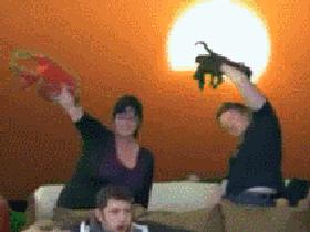 liz-andy_sunset-lobster-fight.gif