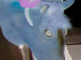 misc_horsehead-auction-sign-inverted.gif