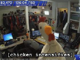 misc_chicken-intensifies.gif